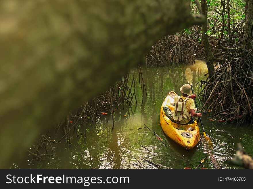 a young man Adventure with backpack Kayaking into the Tunnel of Bushes through a Mangrove Forest