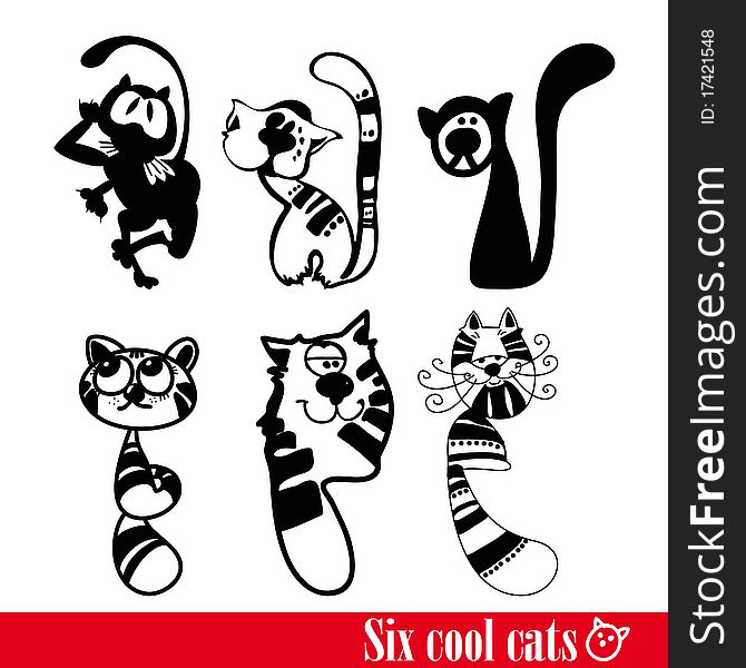 The band of six funkey cats isolated over white