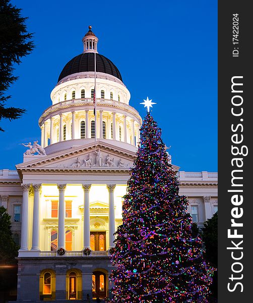 Capitol Christmas Tree