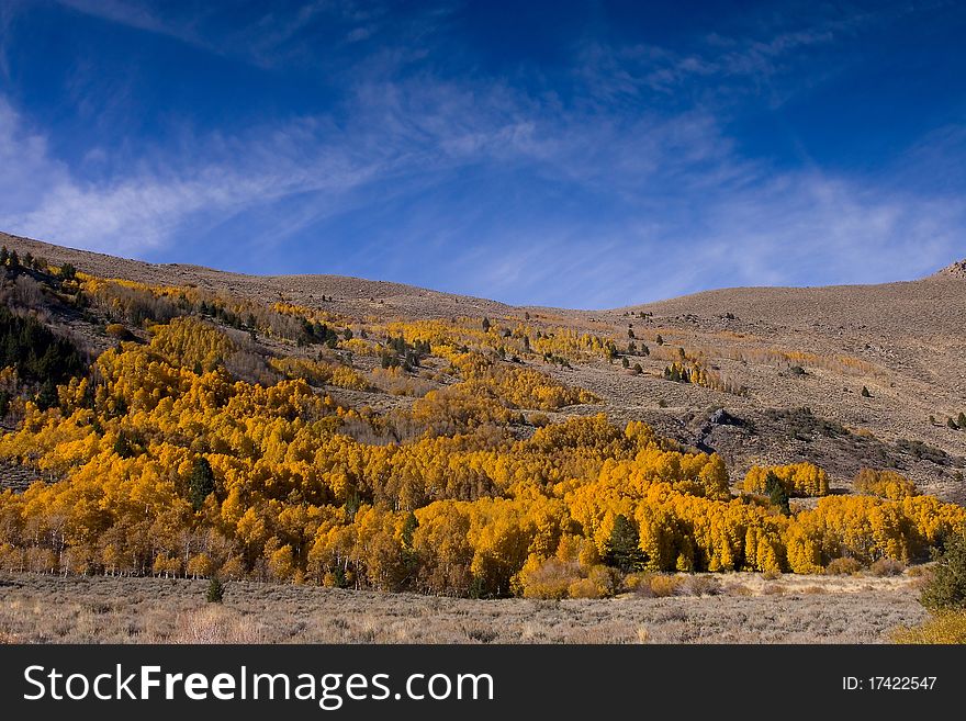 Fall Colors In The Eastern Sierra