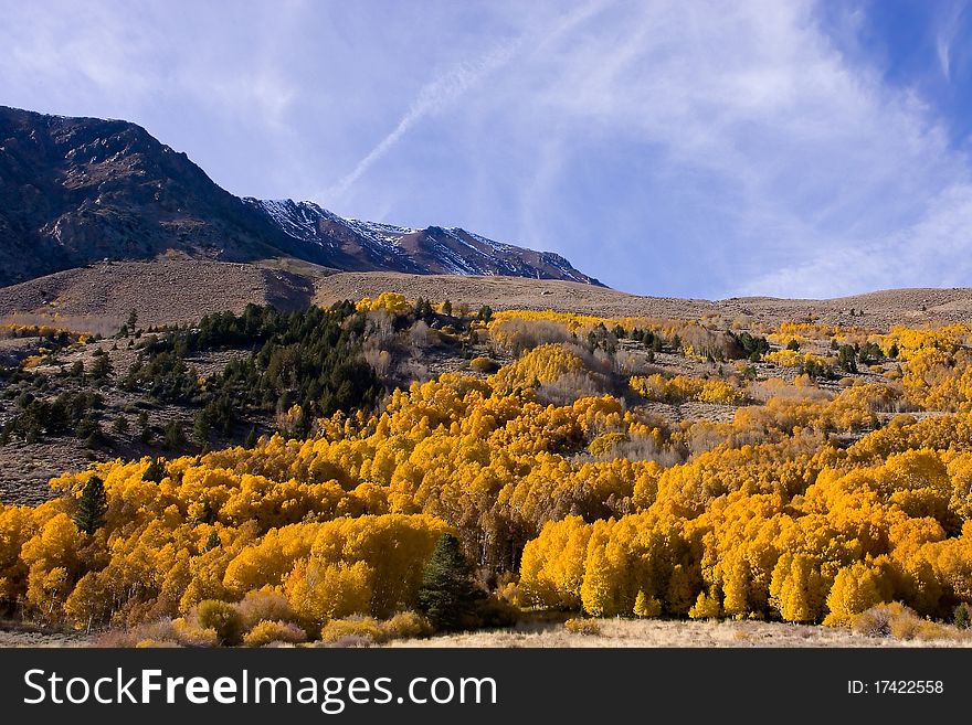 Fall Colors in the Eastern Sierra