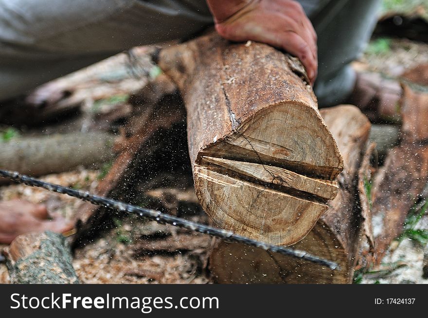 Man Nagging The Log With Chainsaw