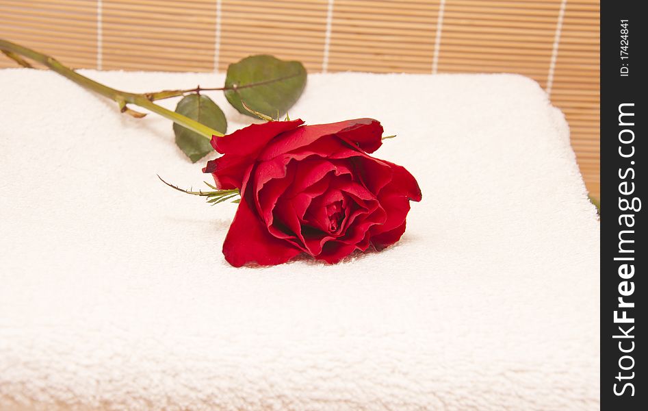 Red roses on white towel