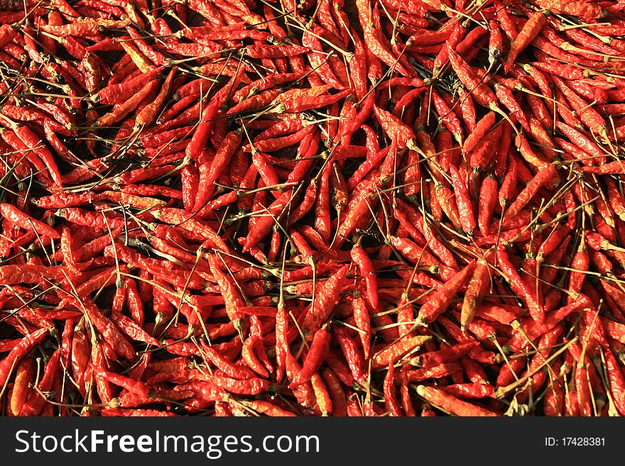 Dried red chilies