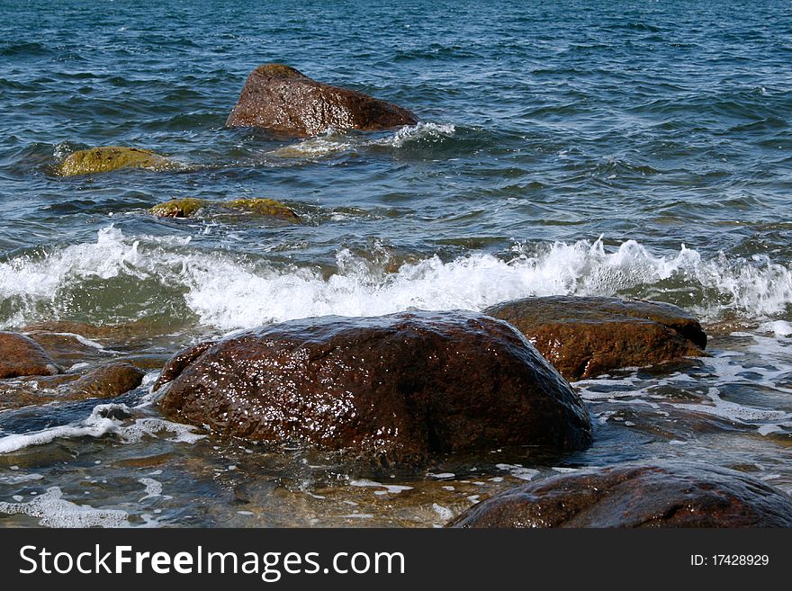 Erratic stone on the coust of baltic sea