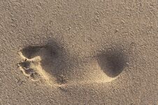 Trail Of A Bare Foot Of A Man On The Sand. Royalty Free Stock Photo