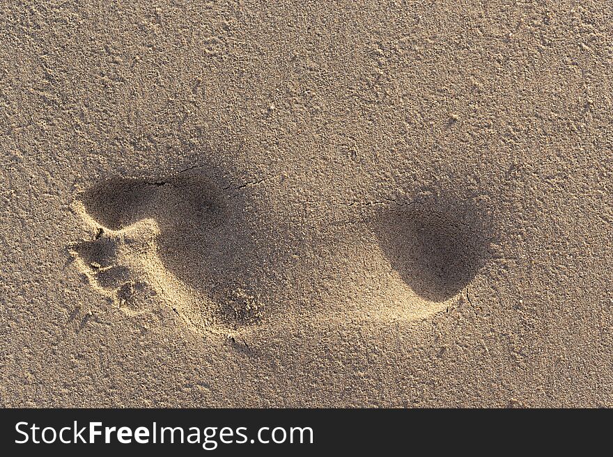 Trail of a bare foot of a man on the sand. Print on a wet surface illuminated by the evening sun