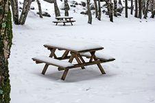 Snow On Wooden Benches Stock Images Snow On Wooden Benches Stock Images