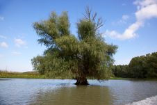 Channel In The Danube Delta, Romania Stock Images Channel In The Danube Delta, Romania Stock Images