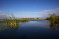 Channel In The Danube Delta, Romania Royalty Free Stock Images Channel In The Danube Delta, Romania Royalty Free Stock Images