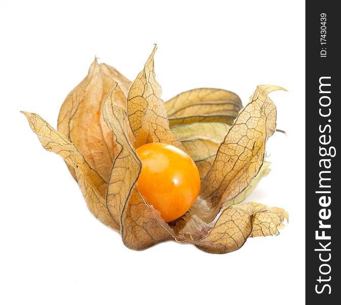 Open cape gooseberry (physalis) on white background