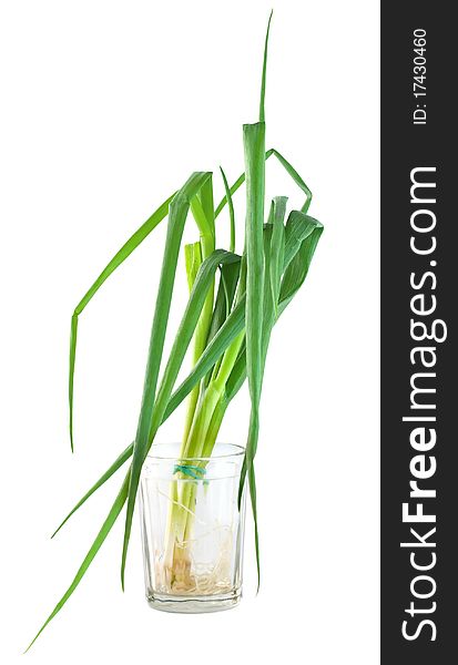 Bunch green onions isolated on a white background