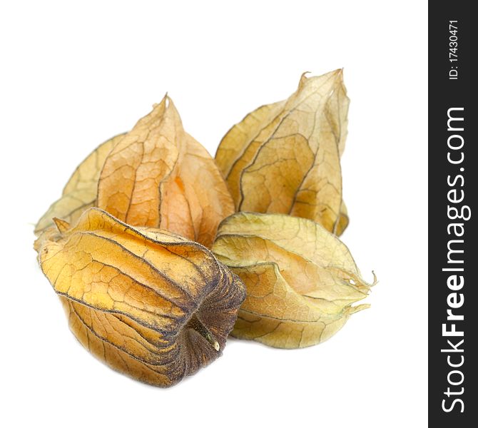 Cape Gooseberry