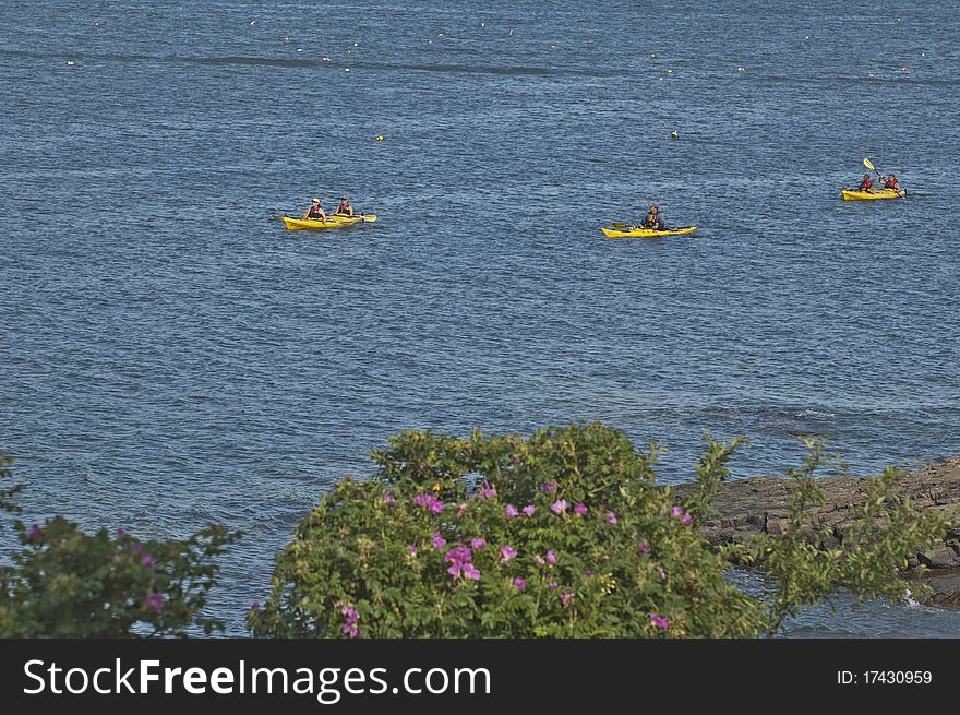 Three Yellow Kayaks