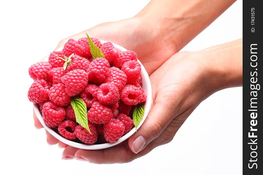 Crockery with raspberries in woman hands. Isolated on a white background.