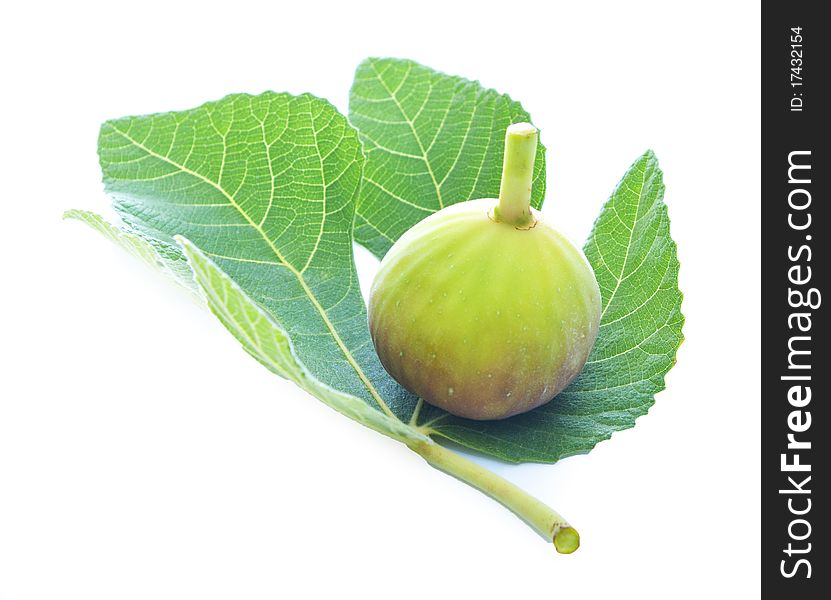 Presentation of fig and fig leaf isolated on a white background. Presentation of fig and fig leaf isolated on a white background