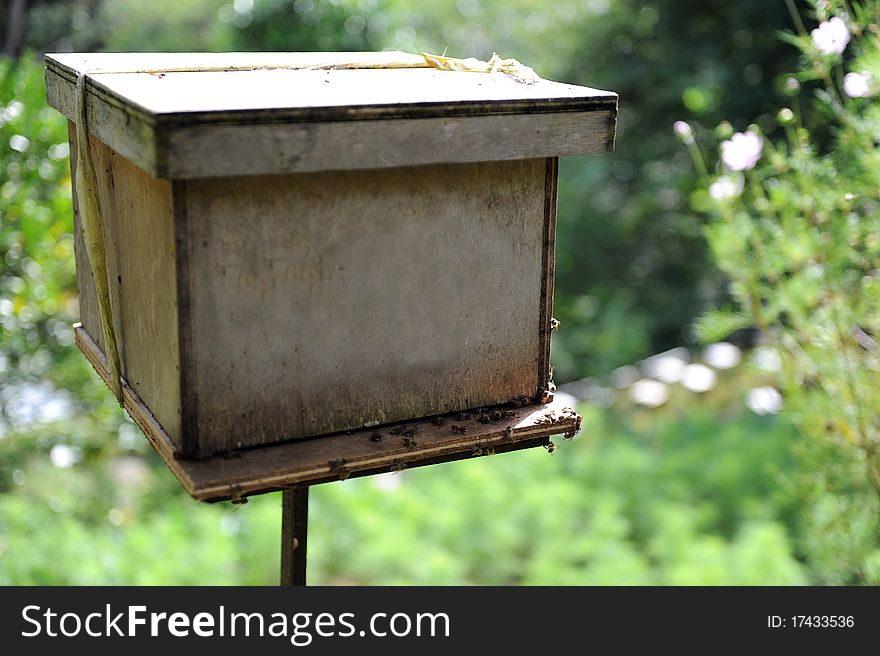 Close up of the honey box,in bee farm.