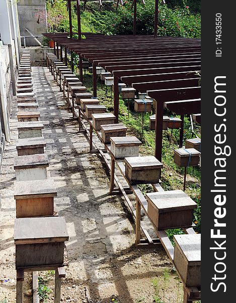 The commercial type of bee farm,honey box in row.