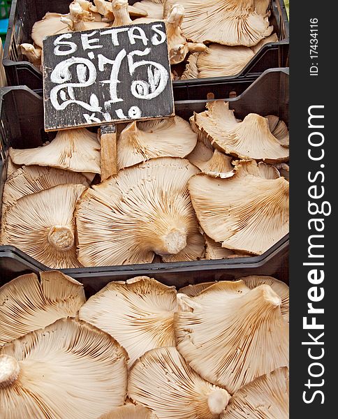 Fresh mashrooms for sale at the market. Fresh mashrooms for sale at the market