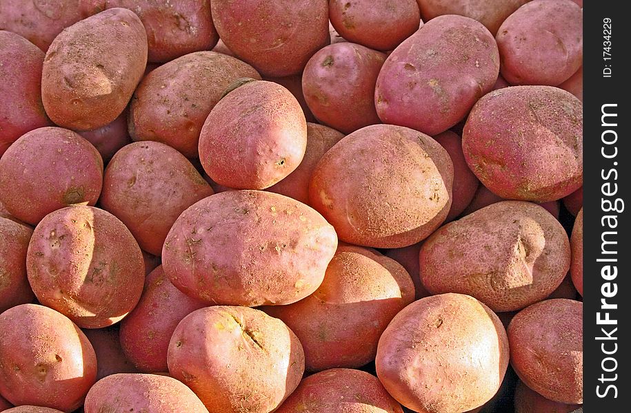 Red potatoes for sale at the market