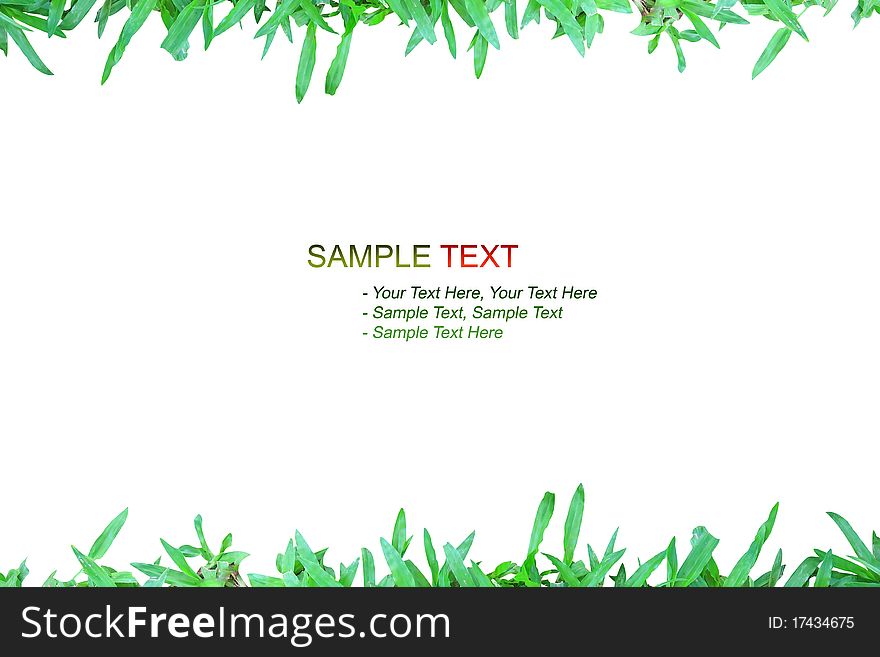 Nature Grass Frame On White Background