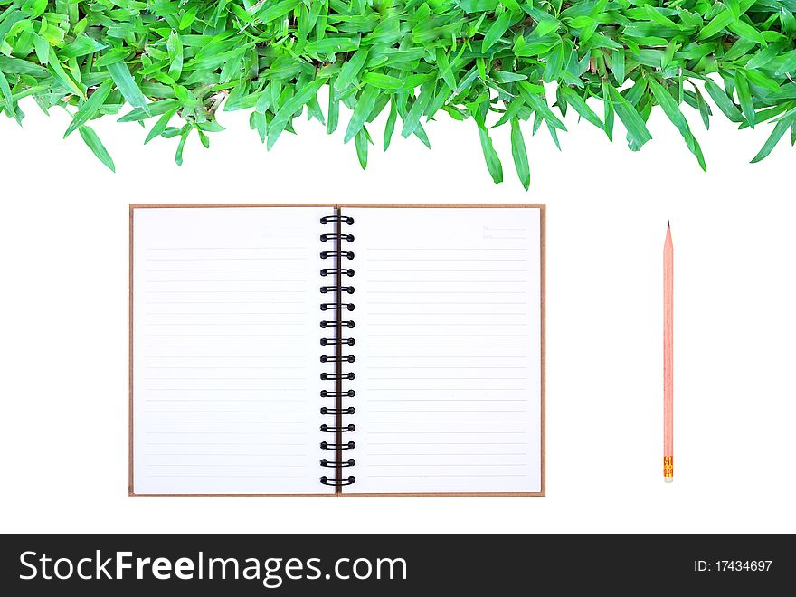 Grass frame on white background with book & pencil