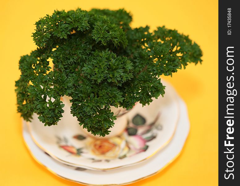 A cup of Parsley which is a hairless biennial herbaceous plant. A cup of Parsley which is a hairless biennial herbaceous plant.