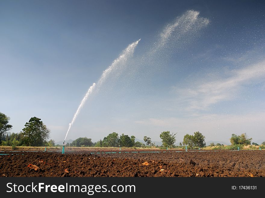 Irrigation Sprinklers at Work in filed