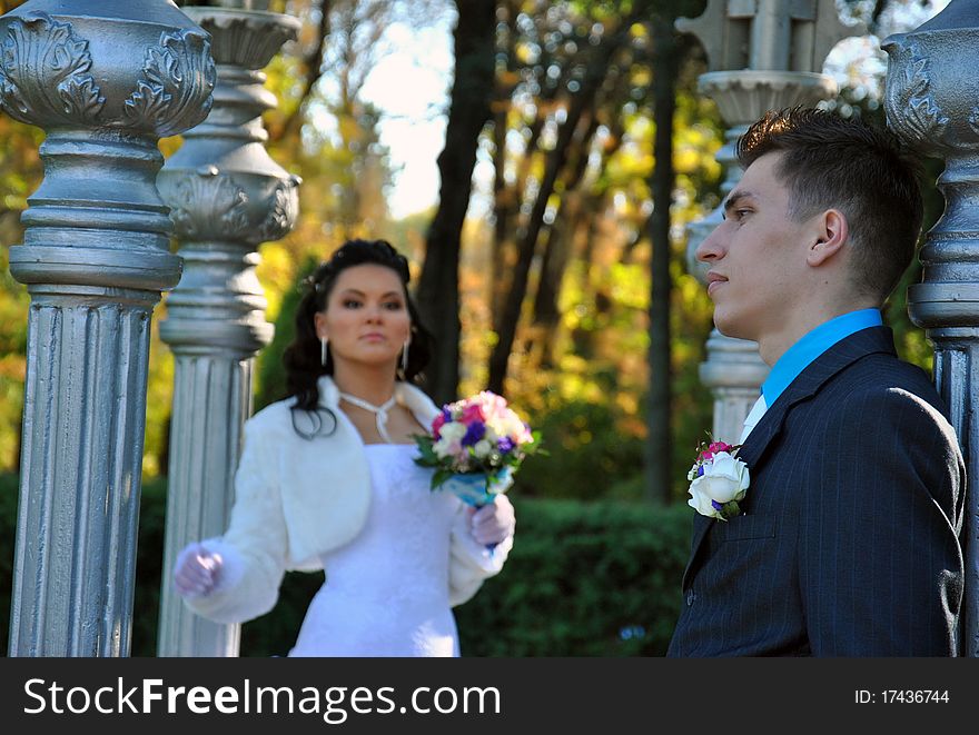 The bride and groom in a park in autumn. The bride and groom in a park in autumn