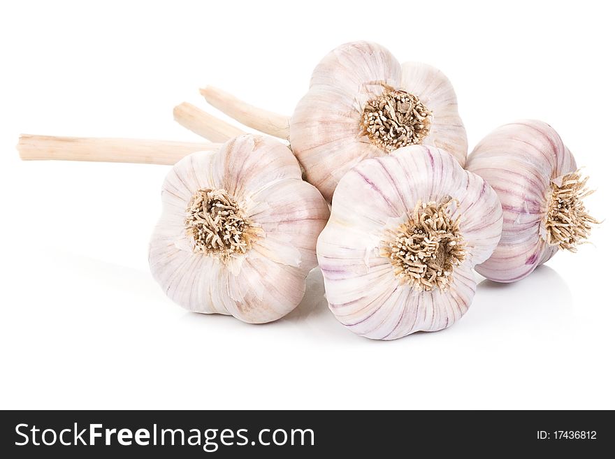 Garlics isolated on white background