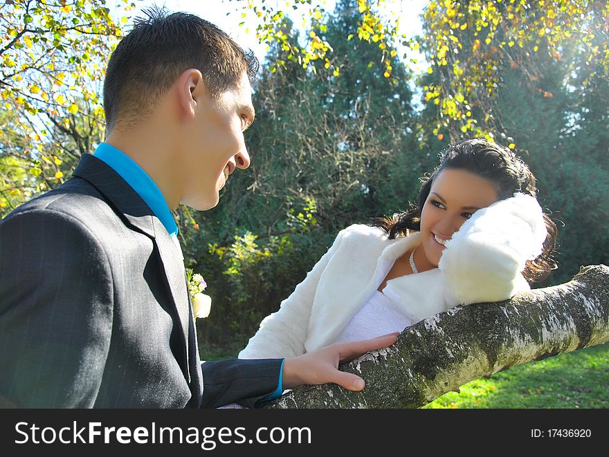 The bride and groom in a park in autumn. The bride and groom in a park in autumn
