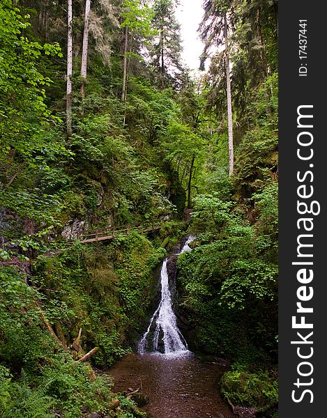 Hiking trail beside a small cascade in the green forest. Hiking trail beside a small cascade in the green forest