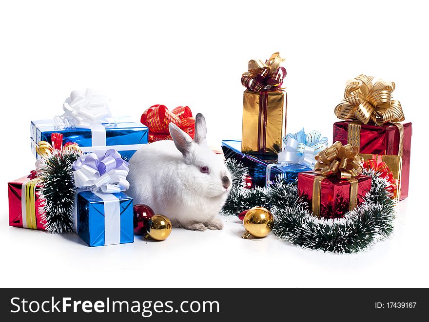 Rabbit with a fur-tree on a white background, is isolated.