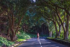 Young Woman Walking At The Road In The Forest Near Vigia Das Baleias. Terceira, Azores. Portugal Stock Image