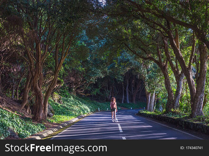 Young woman walking at the road in the forest near the observation deck Vigia das Baleias. Terceira, Azores. Portugal. Young woman walking at the road in the forest near the observation deck Vigia das Baleias. Terceira, Azores. Portugal