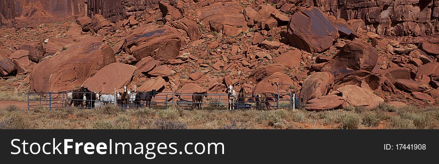 Horses in Monument Valley