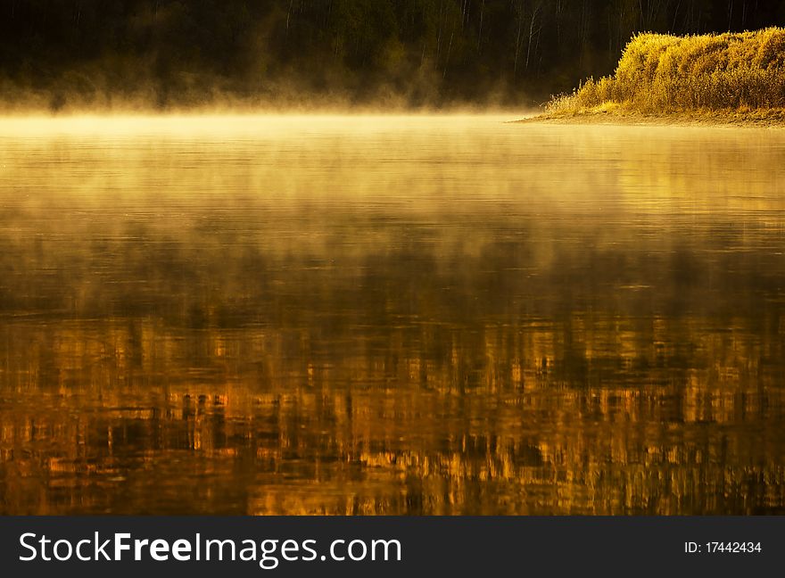 Beauty lake landscape with trees in fog. Beauty lake landscape with trees in fog