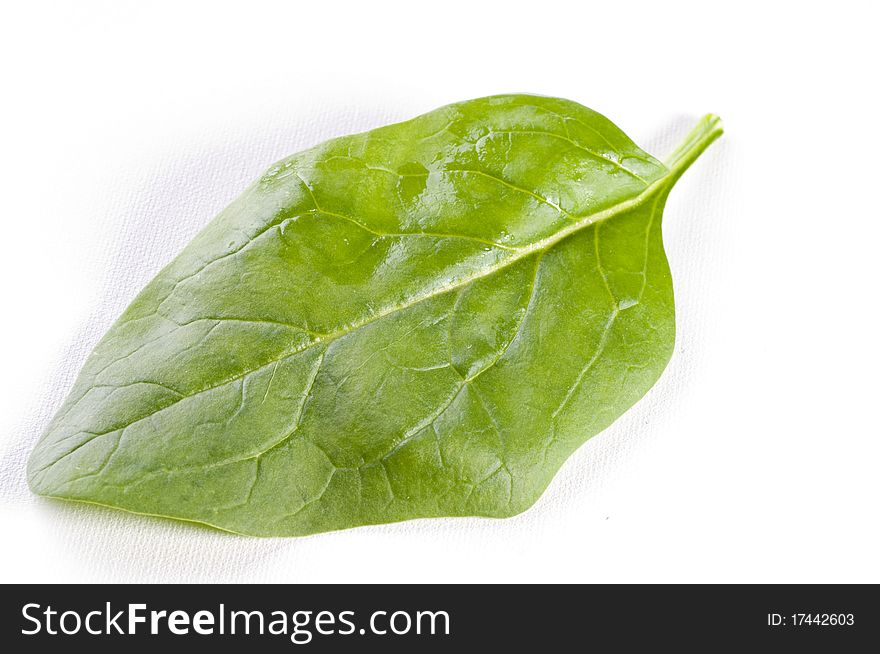 Fresh spinach leaves over white