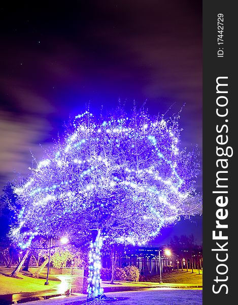 Blue Tree Illuminated