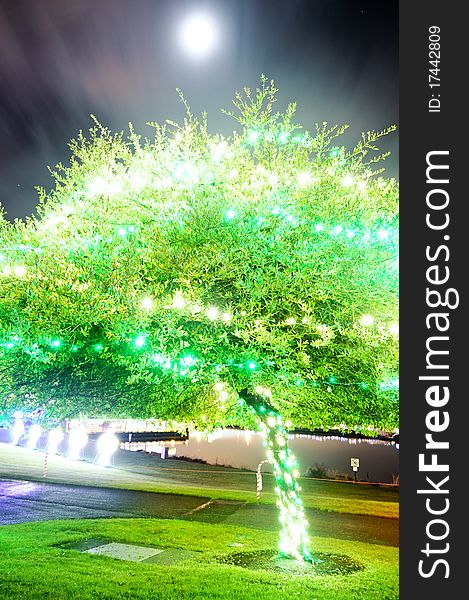 Green Tree Illuminated