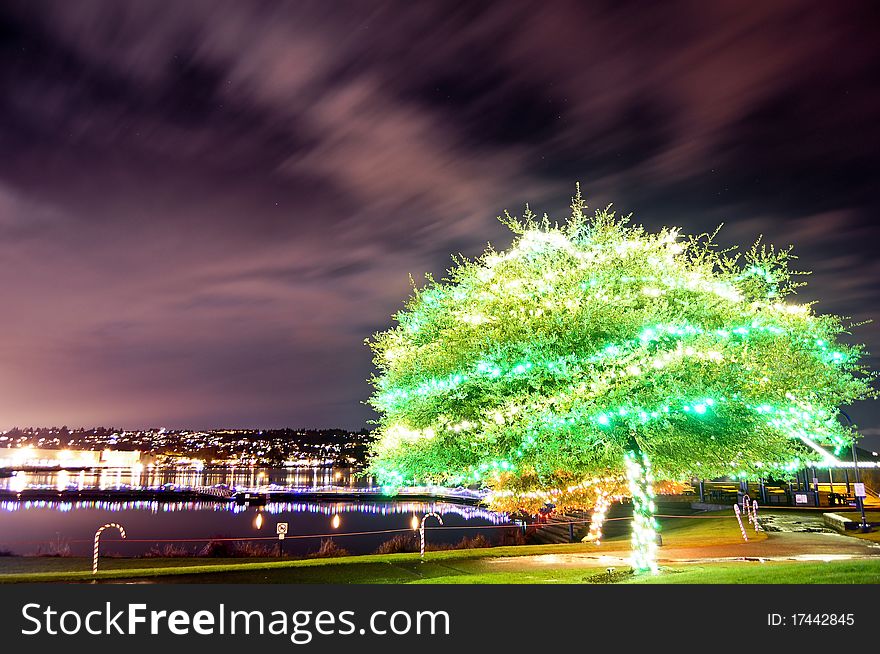 Green tree illuminated