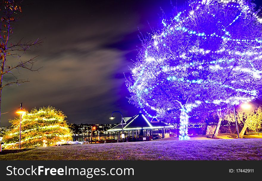 Decorated tree on the Lake Washington at night. Decorated tree on the Lake Washington at night