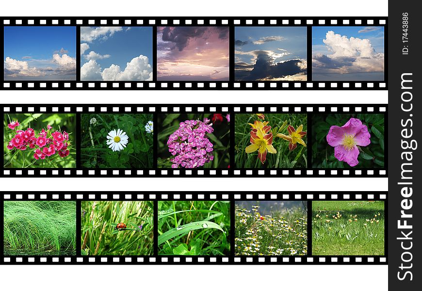 Films With Images Of Nature