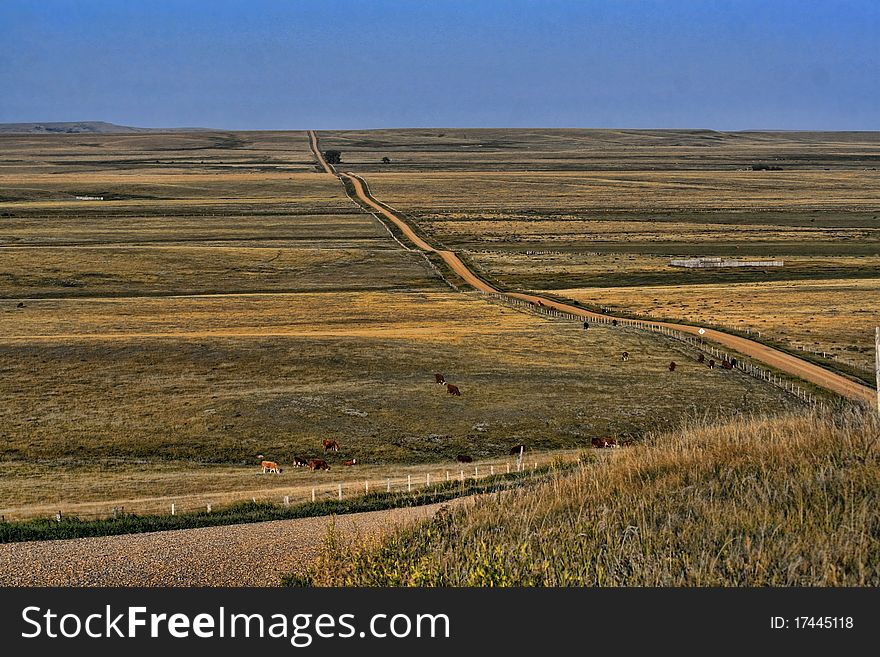 Country road over the prairie and arid grasssland.