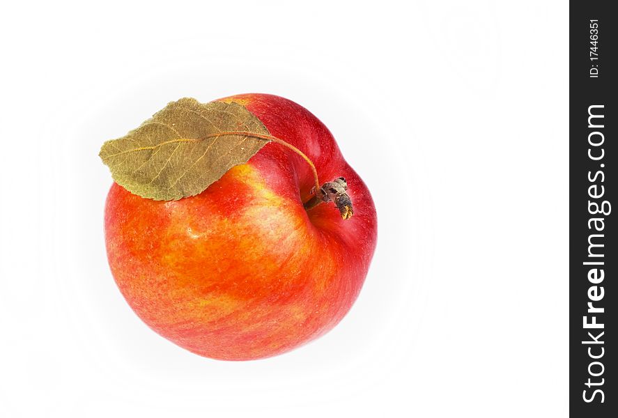 Mature red apple with dry leaves on white background