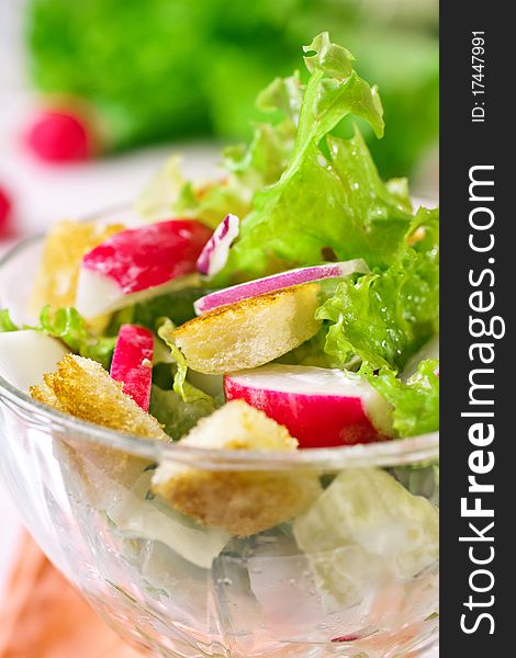 Delicious fresh salad with lettuce leaves, radishes and croutons. Delicious fresh salad with lettuce leaves, radishes and croutons