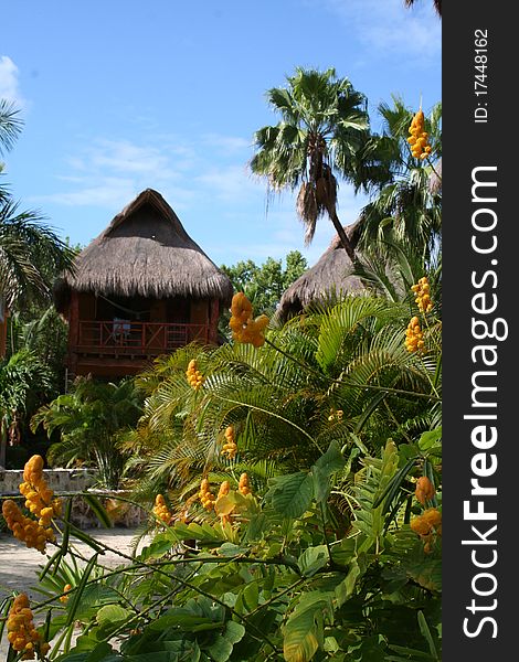 Palapa in Playa del Carmen - Mexico