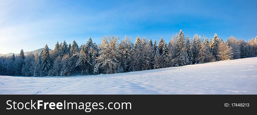 Snow covered winter landscape on a beautiful sunny day. Snow covered winter landscape on a beautiful sunny day.