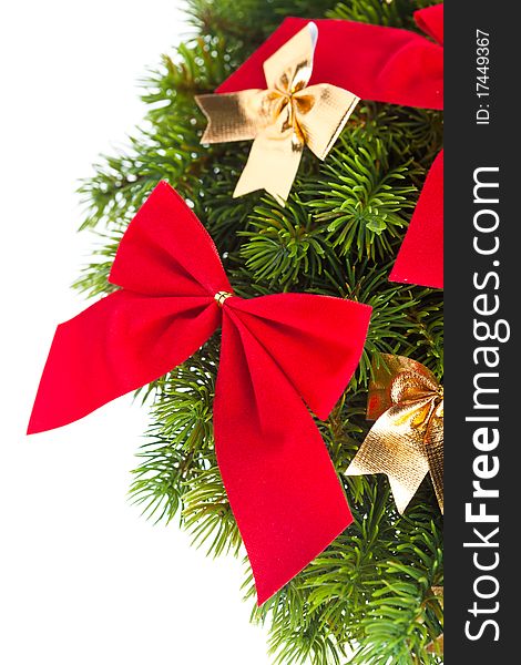 Branch of Christmas tree with ribbon