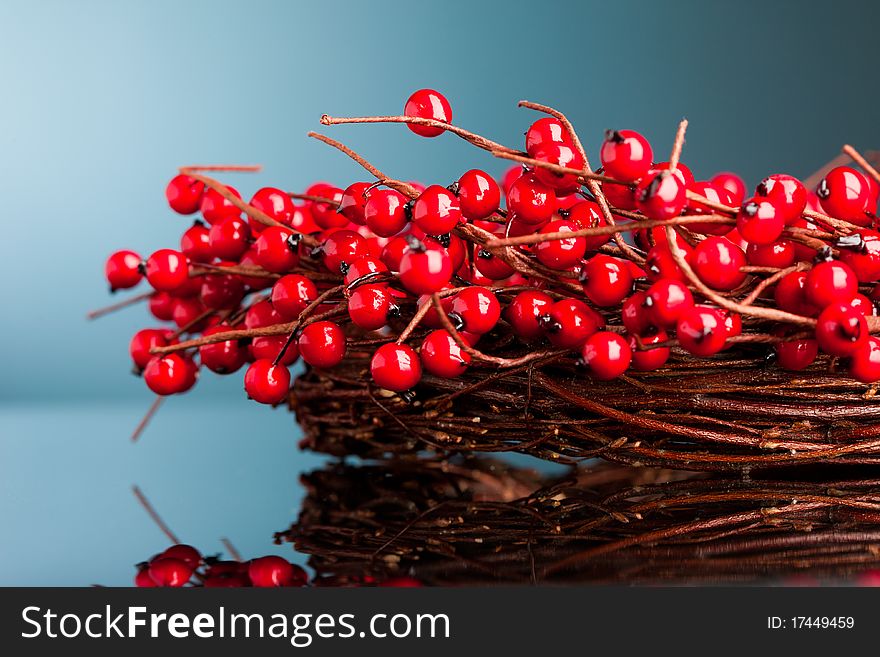 Red european holly (shallow DOF )